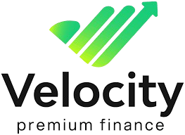 Velocity Logo Watermark